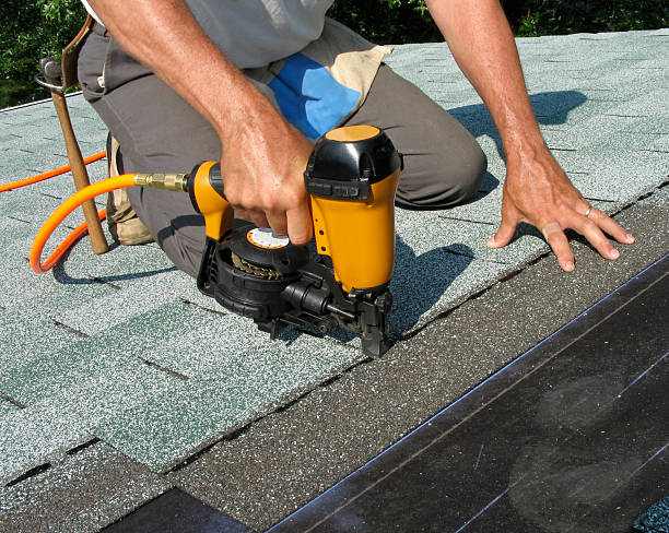 Best Roof Waterproofing Services  in Buena Vista, CO