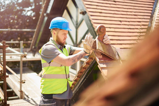 Best Commercial Roofing Services  in Buena Vista, CO